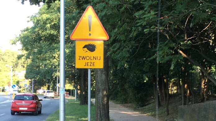 jeż na znaku drogowym fot. UPP