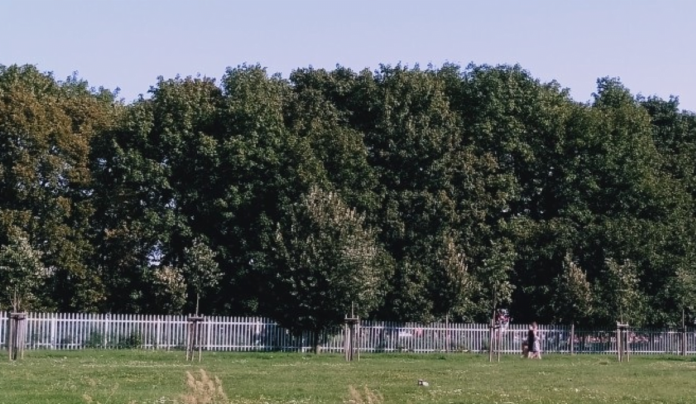 Dolna Wilda fot. L. Łada