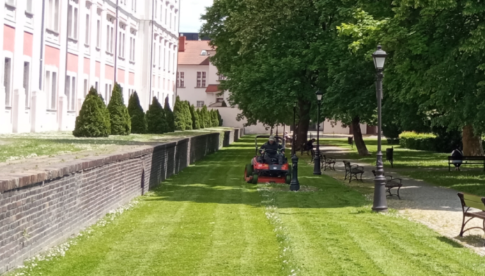 koszenie trawników