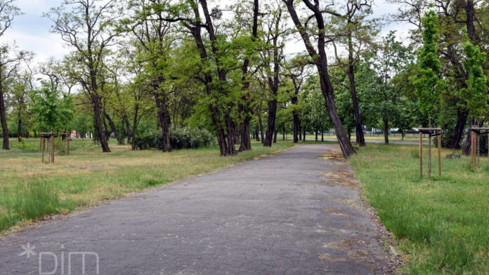 Park Tysiąclecia fot. PIM