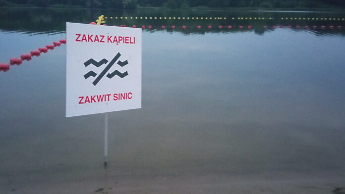 sinice fot. L. Łada
