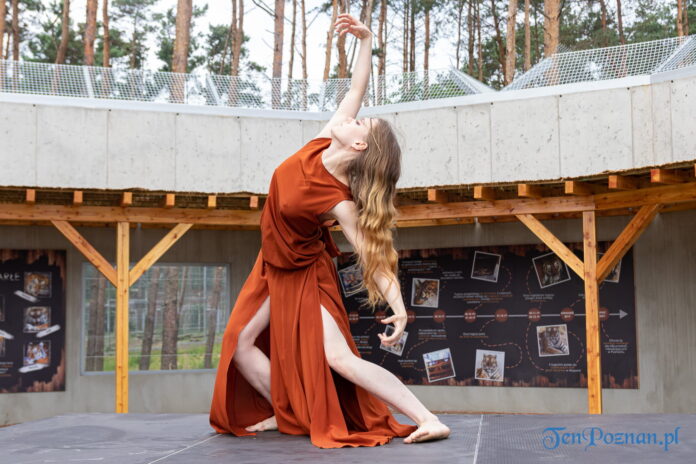 Uroczyste otwarcie nowego wybiegu dla uratowanych tygrysów Gogha i Kana. Performance PTT 