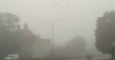 Mgła fot. L. Łada