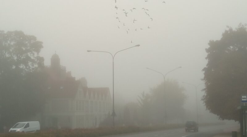 Mgła fot. L. Łada