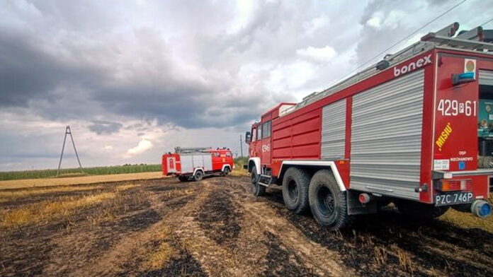 pożar pola fot. OSP Czerniejewo