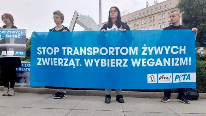 Stop Live Exports fot. Viva
