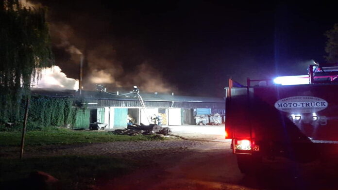 pożar Ptaszkowo, fot. OSP KSRG Grodzisk