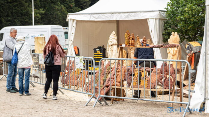 Poznań Wood Festival 2021 Wood Carving fot. Sławek Wąchała