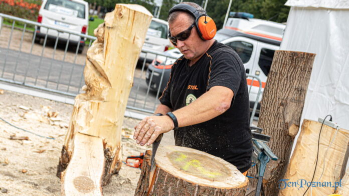Poznań Wood Festival 2021 Wood Carving fot. Sławek Wąchała