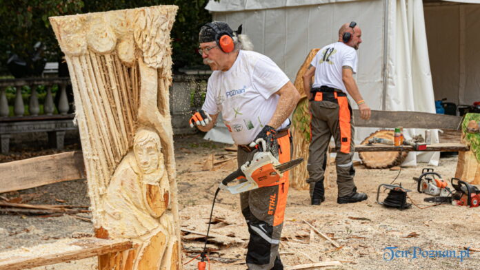 Poznań Wood Festival 2021 Wood Carving fot. Sławek Wąchała