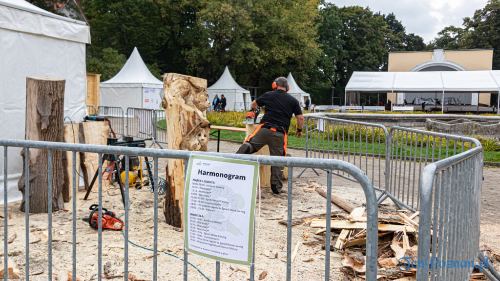 Poznań Wood Festival 2021 Wood Carving fot. Sławek Wąchała