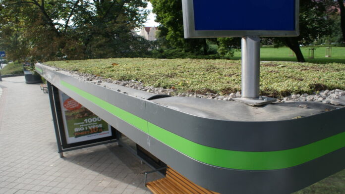 zielona wiata fot. City Marketing