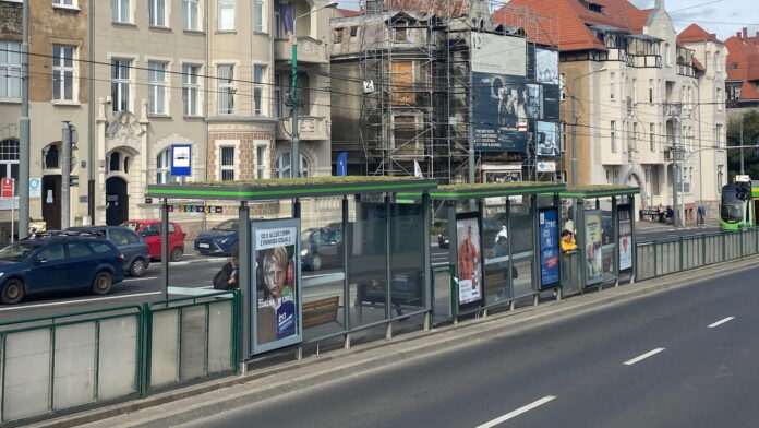 zielona wiata fot. City Marketing