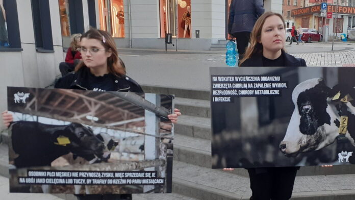 Białe Kłamstwa fot. Fundacja Viva!