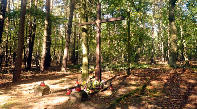 cmentarz przy Leśnej fot. UMP