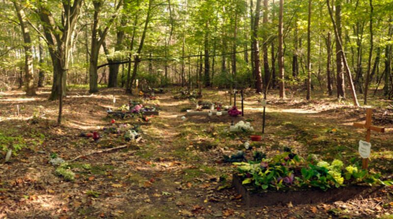 cmentarz przy Leśnej fot. UMP