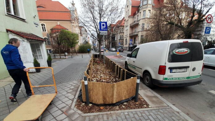 nowa zieleń, Mickiewicza fot. ZDM
