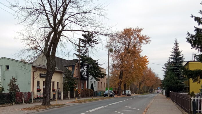 Opolska fot. L. Łada
