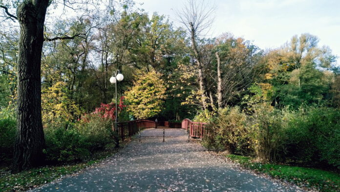 park Sołacki fot. L. Łada