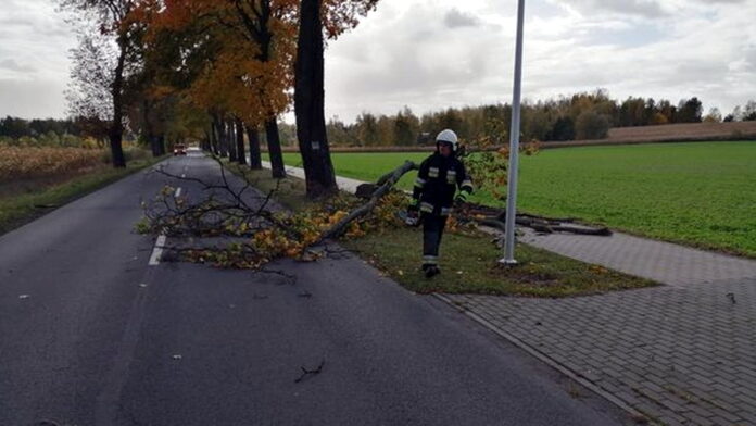 usuwanie skutków wichury , archiwum fot. OSP Kiszkowo