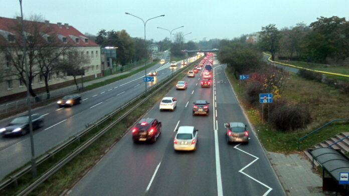 Witosa fot. L. Łada
