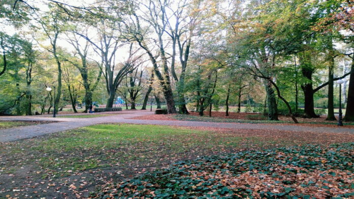 park Sołacki fot. L. Łada