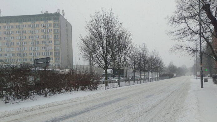Solna fot. L. Łada