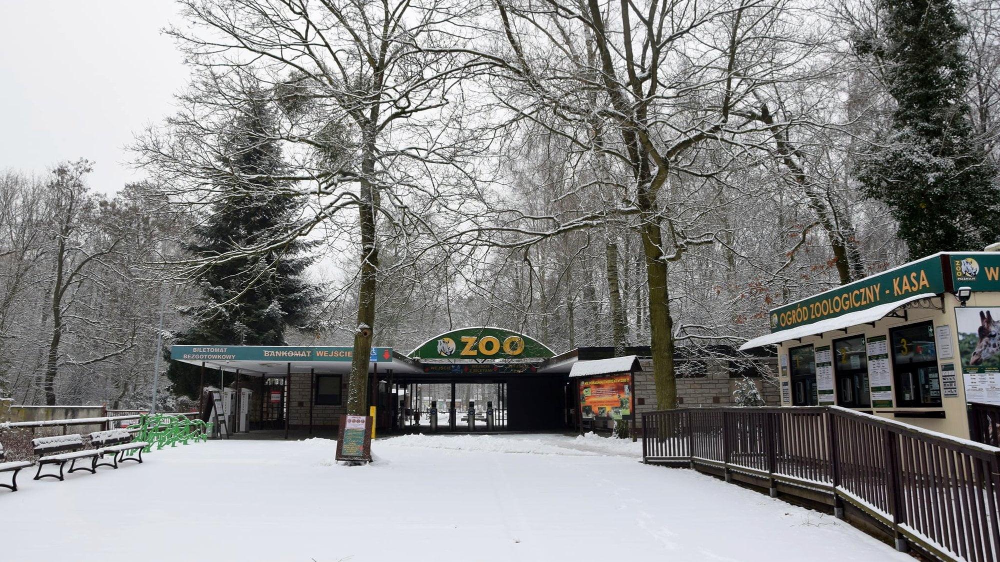 zoo zima fot. Zoo Poznań