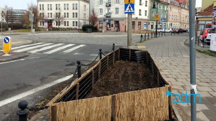 Chwaliszewo, nowa zieleń fot. ZDM