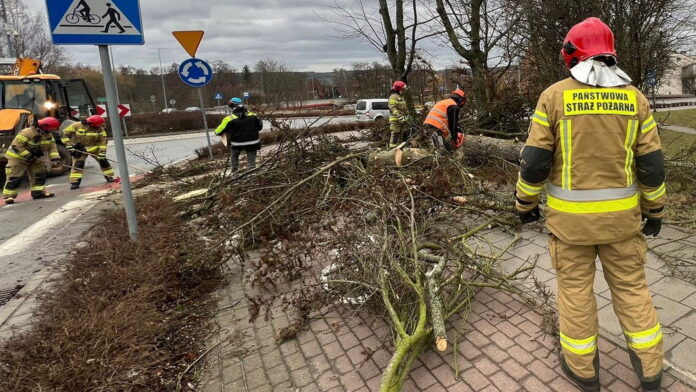 interwencje strażaków fot. PSP