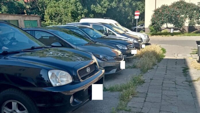 Jeżyce, chodnik fot. ZDM
