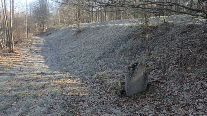 grób w Szklarce Trzcielskiej fot. Pracownia Badań Historycznych i Archeologicznych Pomost