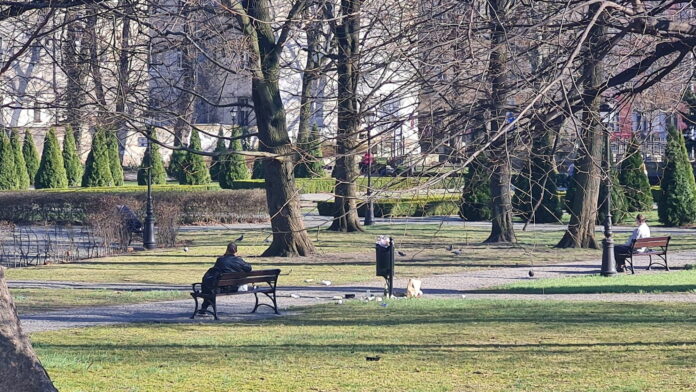 park Chopina fot. Użytkowniczka Marta