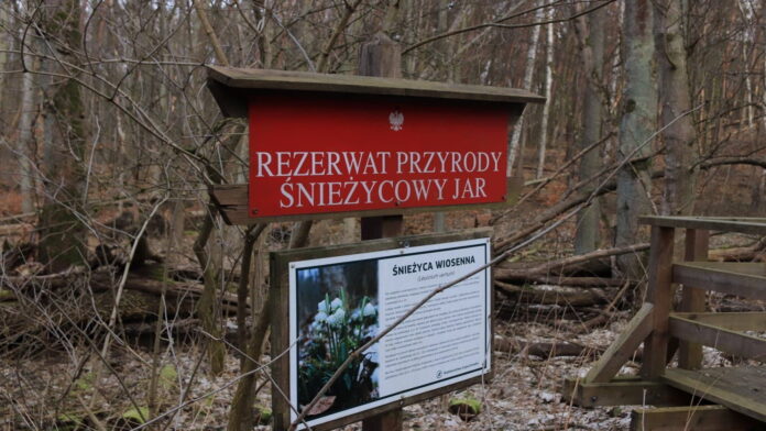 Śnieżycowy Jar 2022 fot. S. Wąchała