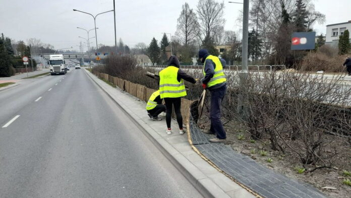 sprzątanie po zimie fot. ZDM