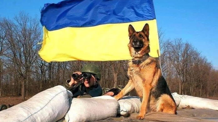 wojna na Ukrainie fot. sztab generalny Sił Zbrojnych Ukrainy