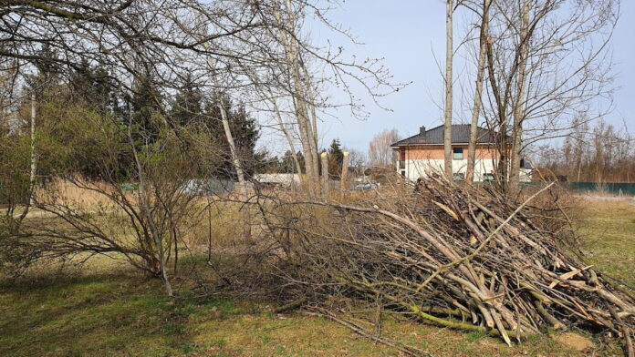 próchnowisko fot. ZZM