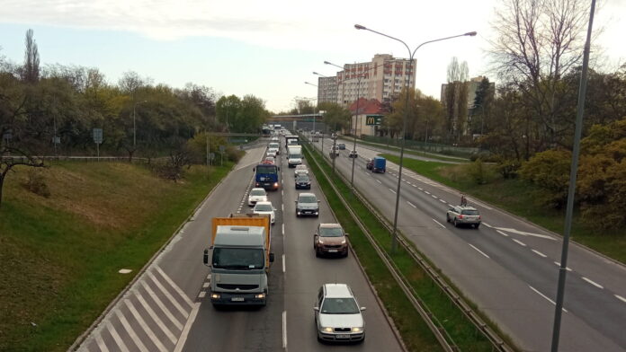 Niestachowska korek fot. l. Łada