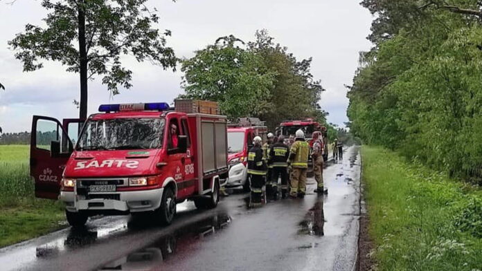poszukiwania krów fot. OSP Nietążkowo