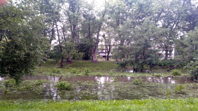 rozlana Bogdanka fot. L. Łada
