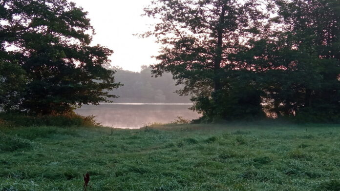 Rusałka fot. L. Łada