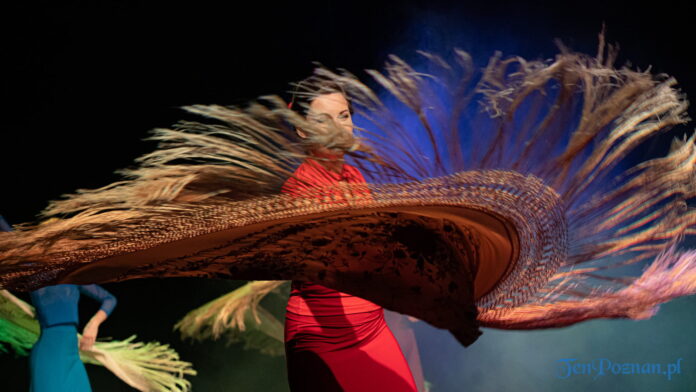 Espacio flamenco koncert Poznań fot. Sławek Wąchała