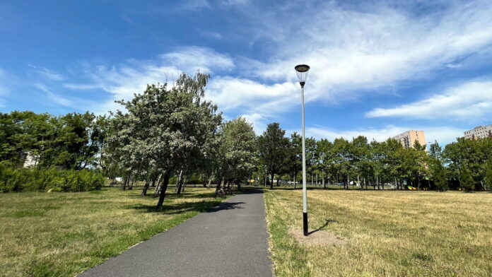 park Czarneckiego fot. ZZM