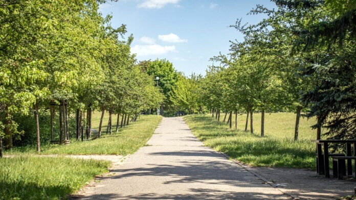park Kasprowicza fot. ZZM