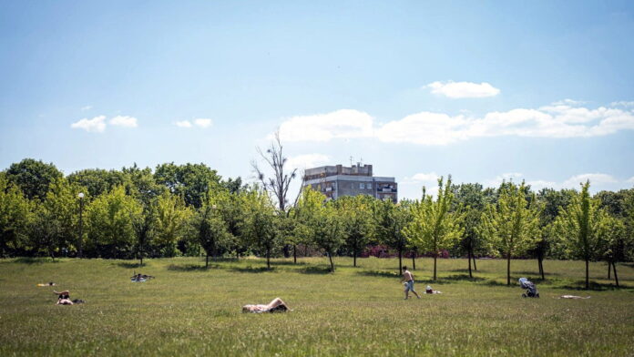 park Kasprowicza fot. ZZM