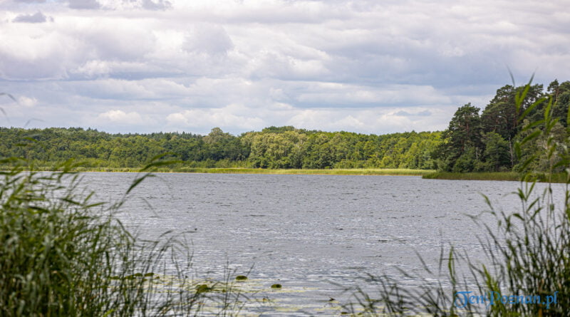 Jezioro, pojezierze Wielkopolska fot. Sławek Wąchała