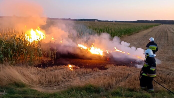 pożar balotów słomy fot. OSP Święciechowa
