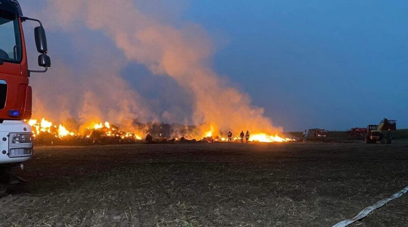 pożar, Konarzew fot. OSP Zdun