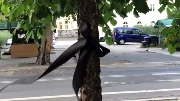 Leszczyna w żałobnej odsłonie fot. Stowarzyszenie Plac Wolności1
