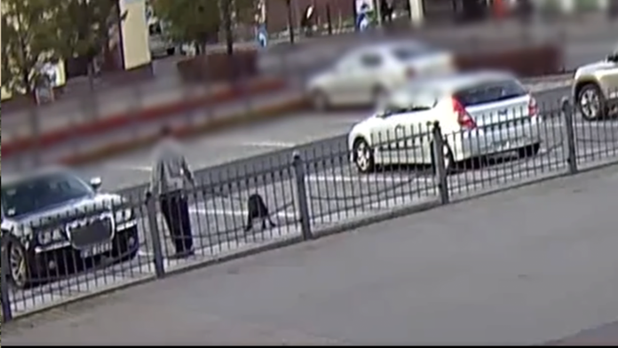 właściciel psa w miejskiej kamerze fot. straż miejska Września